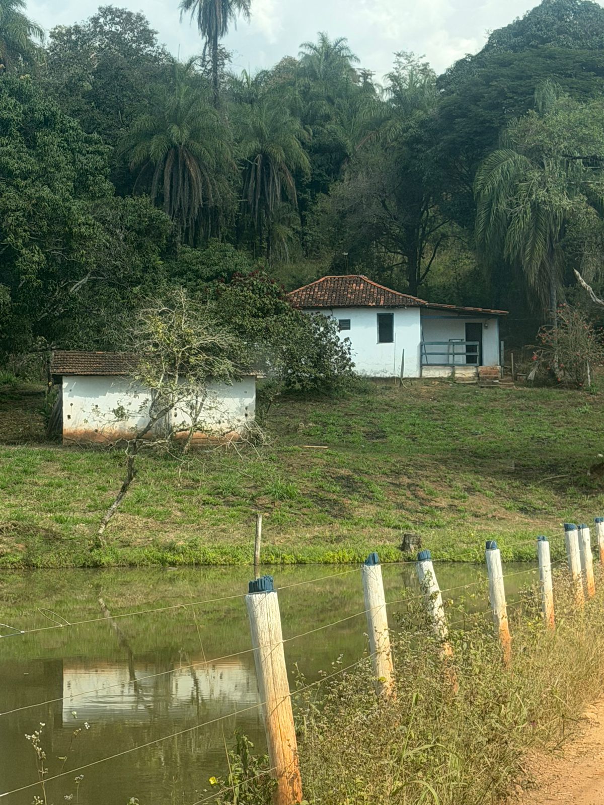 Oportunidade — foto 3