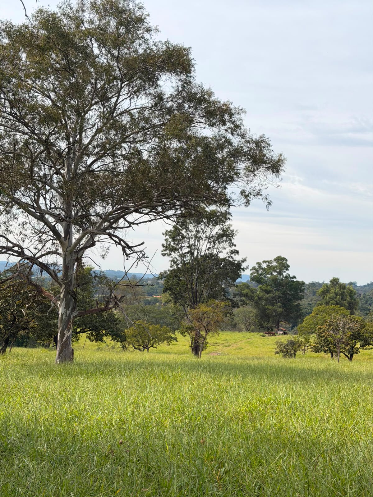 Fazendinhas Planícies da Serra — foto 3