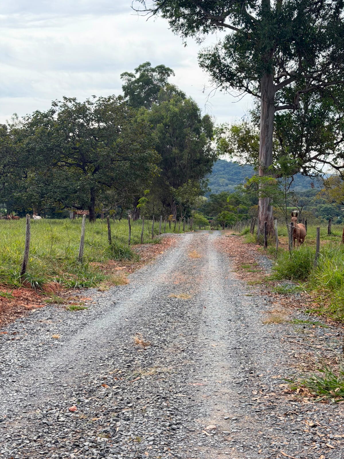 Fazendinhas Planícies da Serra — foto 5