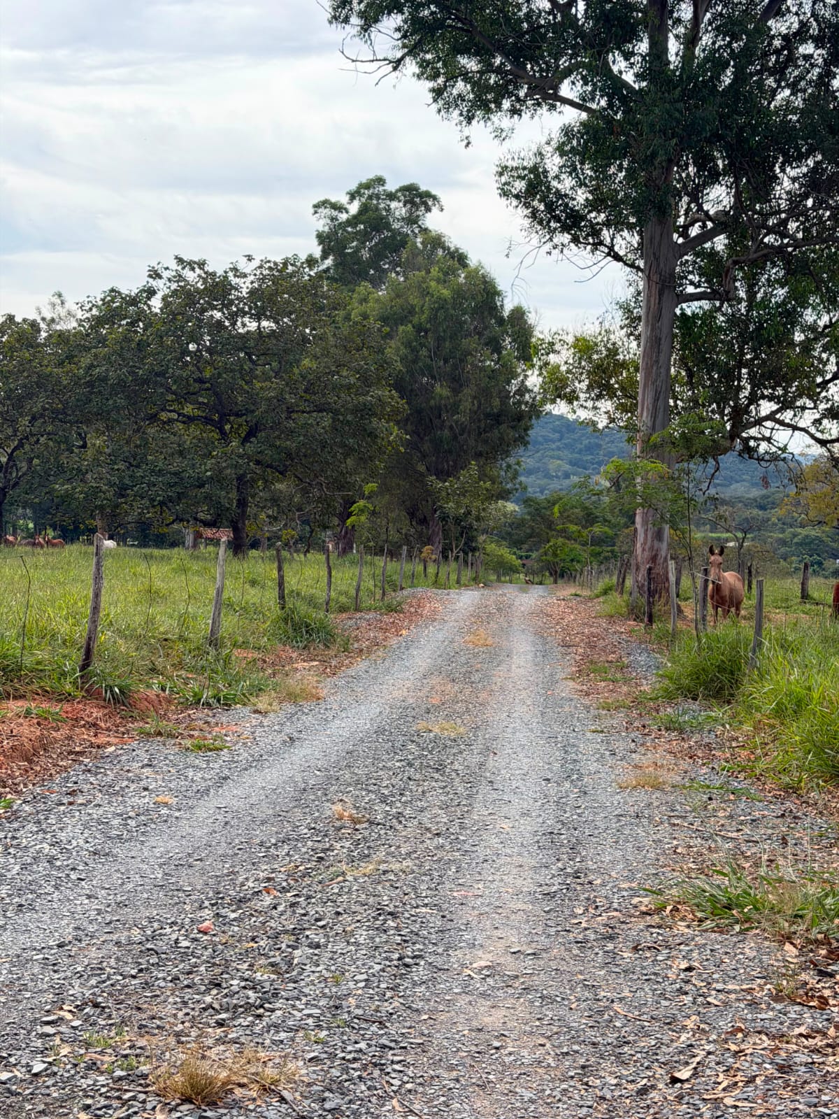 Fazendinhas Planícies da Serra — foto 6