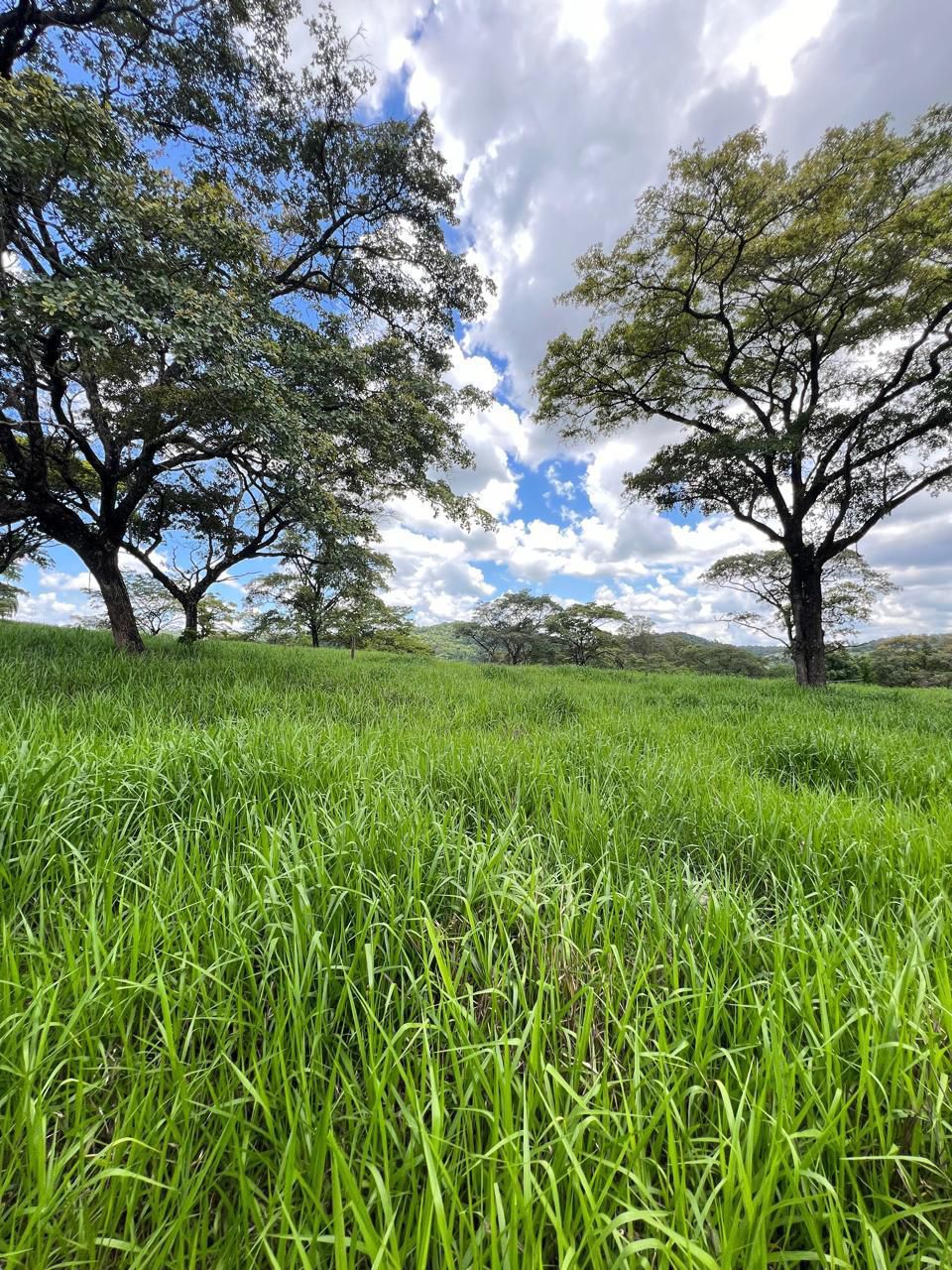 Fazendinhas Santa Fé — foto 2
