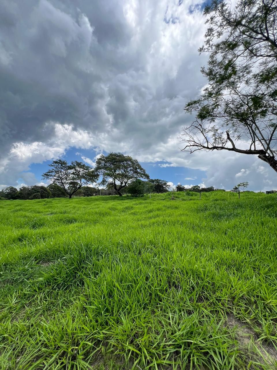 Fazendinhas Santa Fé — foto 3